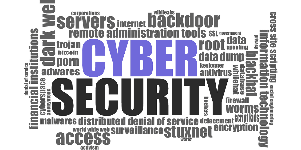 cyber-security-1784985_1280